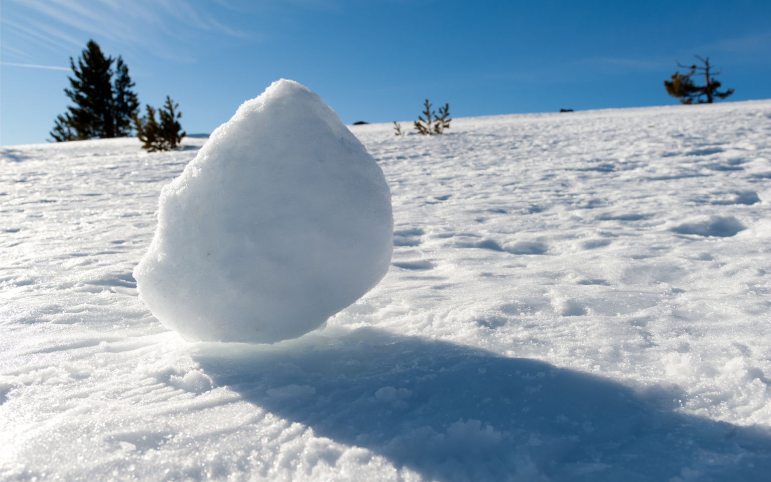 snow ball